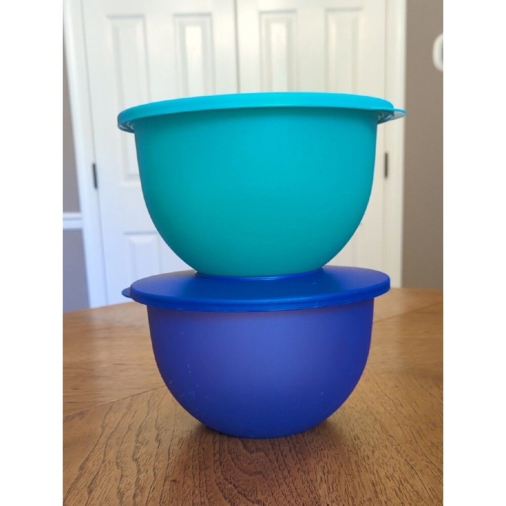 Tupperware Set of Two Plastic Storage Bowls in Teal and Blue 2.5L